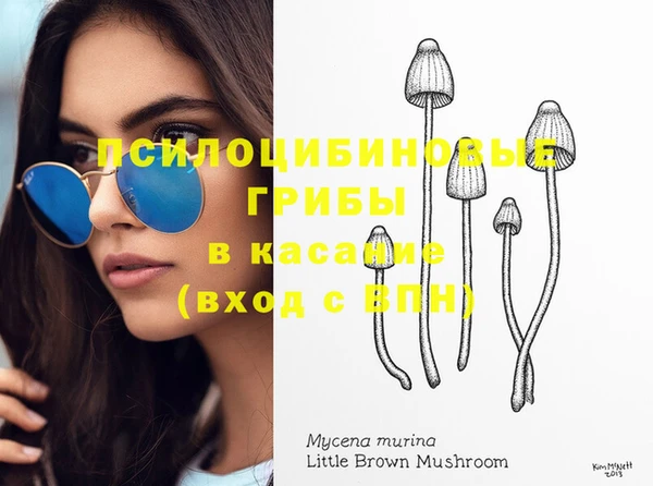 сатива Бабаево