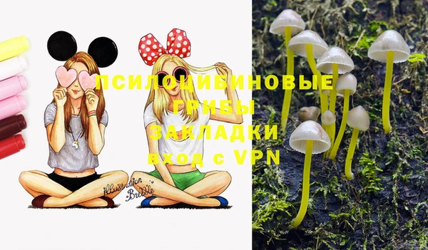 метамфетамин Ладушкин