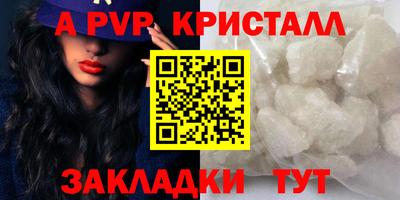 СК Дубна