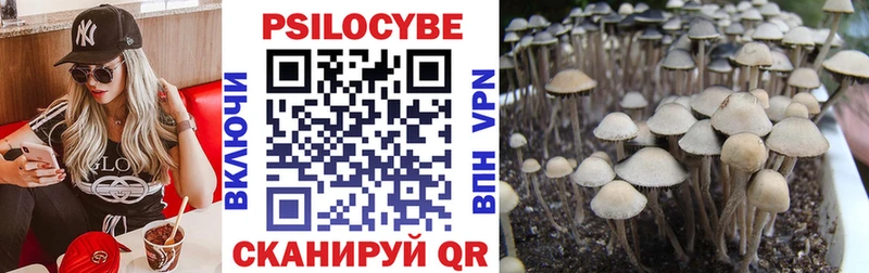 Галлюциногенные грибы Cubensis Чебаркуль