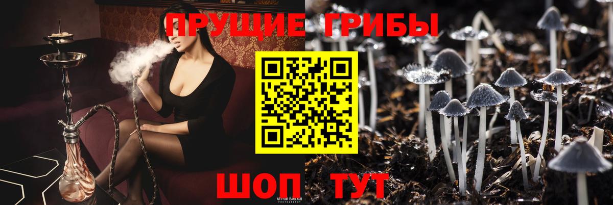 Псилоцибиновые грибы мицелий  Вход с VPN  Галлюциногенные грибы мухоморы  Чебаркуль 